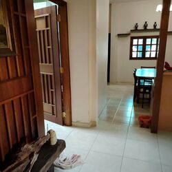 Joo Chiat Avenue (D15), Terrace #502470301